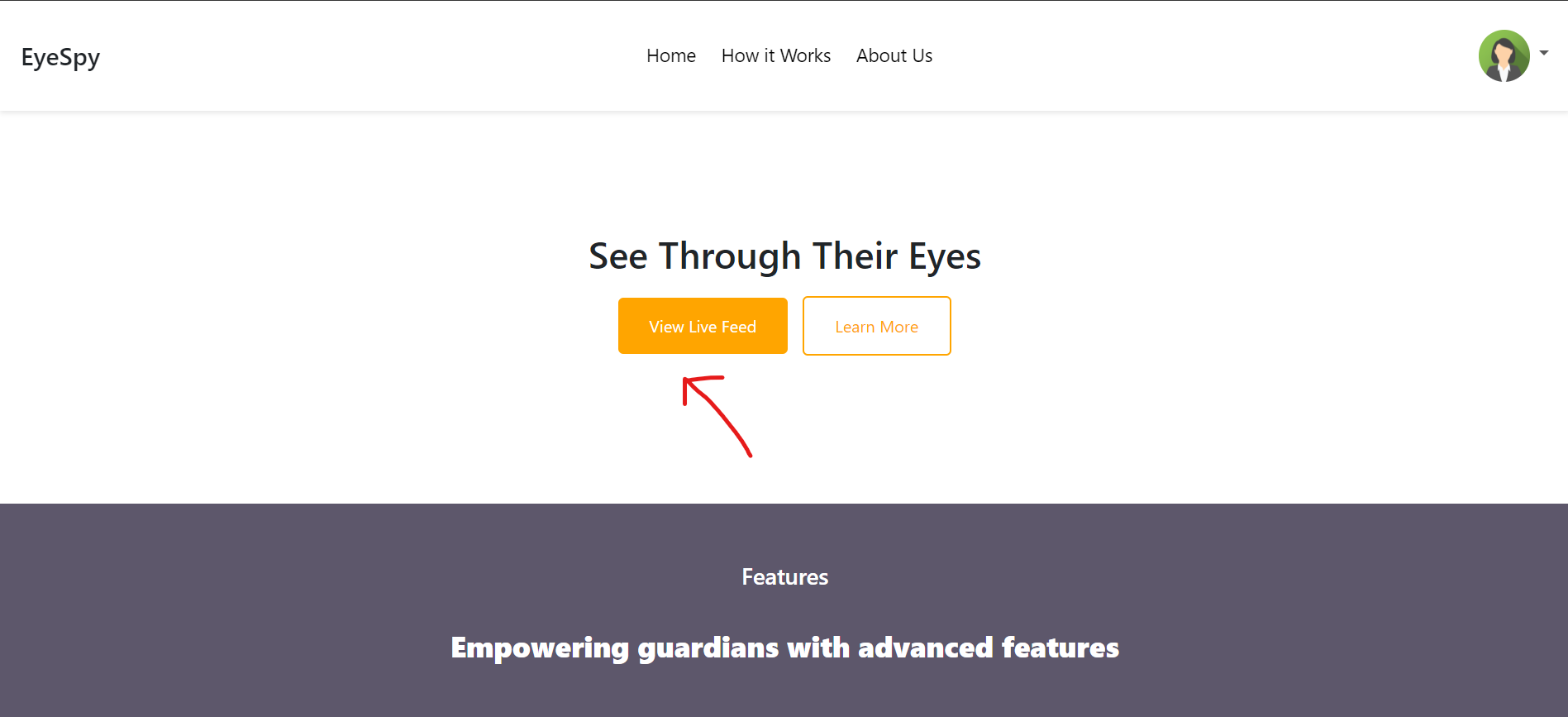 Screenshot of the website